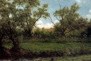 Untitled (1266) — Martin Johnson Heade