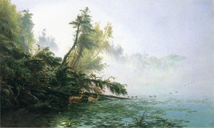Misty Morning On Racket Lake — James Mcdougal Hart