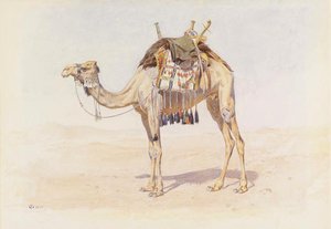 Female Riding Camel — Frederick Goodall