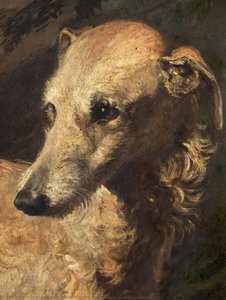 Head of 'Driver', a Deerhound Owned by the 5th Duke of Gordon