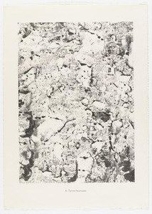 Happy Earths (terres Heureuses) From The Portfolio Eléments, Moments From Phenomena (les Phénomènes) — Jean Philippe Arthur Dubuffet