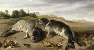 Two young seals on the beach