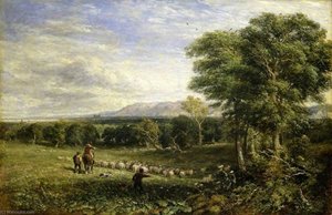 The Vale of Clwyd