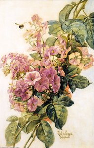 Morning Glories — Raoul De Longpre