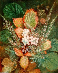 Heather And Gorse — Albrecht Dürer