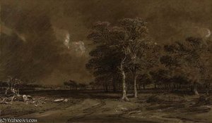An extensive parkland landscape