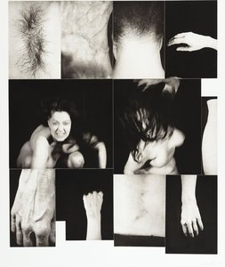Las Animas — Kiki Smith