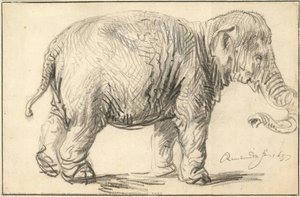 An Elephant, 1637 — Rembrandt Van Rijn, Dutch Golden Age
