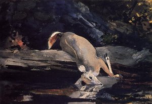 Fallen Deer — Winslow Homer