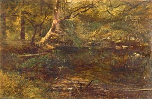 Kingfisher's Haunt