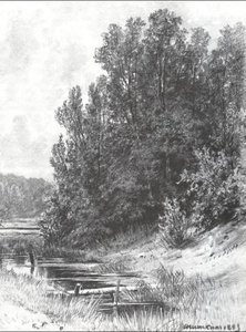 Near Brook — Ivan Ivanovich Shishkin