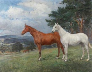 Two Horses In A Landscape A Chestnut And A Grey Hunter — Evelyn Blacklock