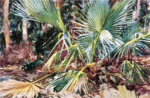 Palmettos, Florida — John Singer Sargent, Impressionist Landscape