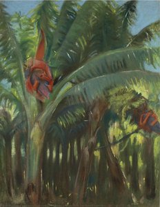 The Banana forest, from the Canary collection