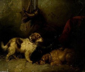Dogs -