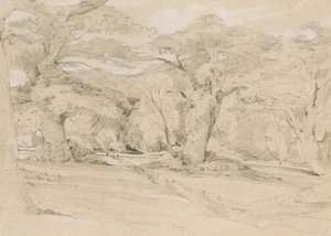 Landscape With Trees — John Frederick Lewis