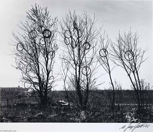 Strange Fruit — Nathan Jay Jaffee