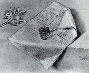 Carnation And Cloth Of Gold — Salvador Dalí