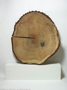 Two Hundred And Eighty Two — Tania Kovats