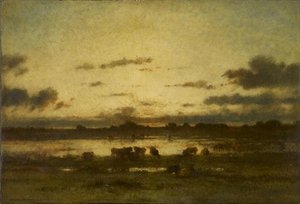 SOLEIL COUCHANT SUR UN MARAIS