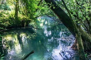 Resurgent Waters — Alan Morassut