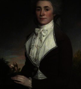 Sarah webb