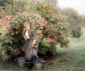 The Well By The Maytree