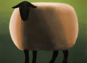 Black Faced Sheep — Peter Markey