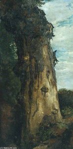 Study Of A Tree ('study From Nature') — John Linnell