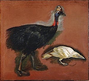 CASOAR ET CORBEAU BLANC
