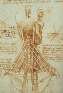 Collo Studio — Leonardo Da Vinci
