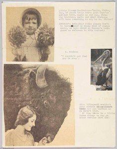 (untitled) (from Goop Joe's Poultry Pages Series) — Joseph Cornell