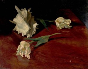 A Shell And Flowers — Albert Anthony Houthuesen