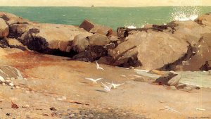 Rocky Coast And Gulls — Winslow Homer, American Realism