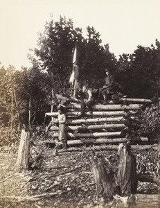 Signal Tower On Elk Mountain, Maryland — Timothy O'sullivan Alexander Gardner