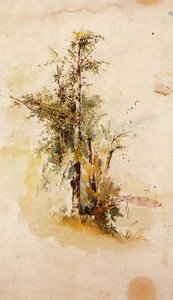 Tree — Ovidio Murguía De Castro