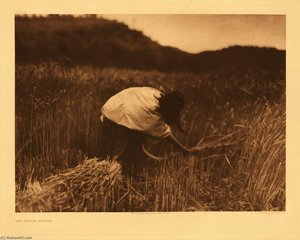 Untitled (aqu46p) — Edward Sheriff Curtis