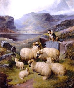 Guarding The Flock — John Joseph Barker