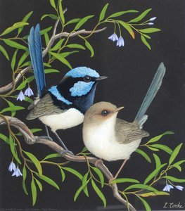 Two Wrens — Lyn Cooke, Contemporary Realism