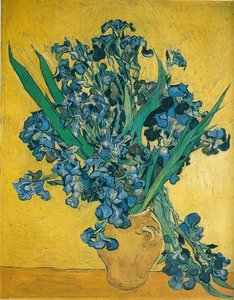 Irises, Rijksmuseum Vincent Van G — Vincent Willem Van Gogh, Post-impressionism
