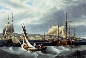 Quarantine, Staten Island