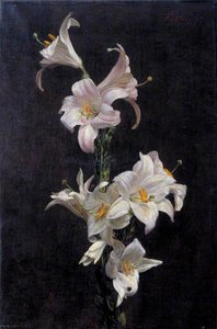 White Lilies — Henri Fantin-latour, Realism