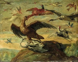 Birds — Jan Van Kessel The Elder