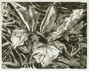 Skunk Cabbage — Arthur Lismer