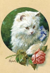 Cat And Rose — Carl Reichert
