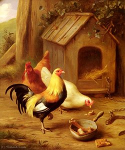 Chickens Feeding — Edgar Hunt
