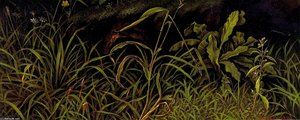 Forest Floor — Levi Wells Prentice