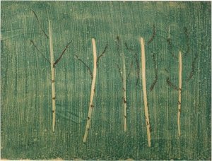 Edge Of The Forest — Milton Avery