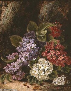 Still Life With Blossom