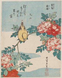 Warbler And Roses — Katsushika Hokusai